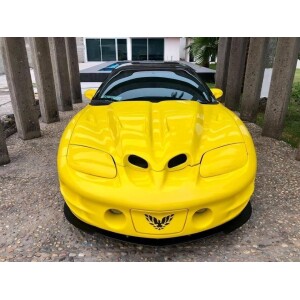 1998-2002 Firebird Formula Trans Am - WSX Hood (Modified WSQ) |MAGG ...